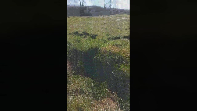 SpymeCGN  04-03-2022